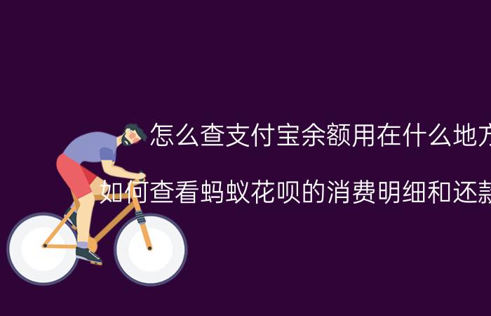 怎么查支付宝余额用在什么地方 如何查看蚂蚁花呗的消费明细和还款流水？